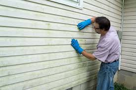 Best Siding Painting and Refinishing  in Hydesville, CA